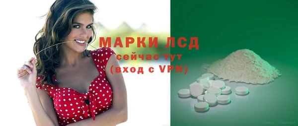 стафф Богородицк