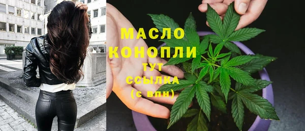 сатива Богородск
