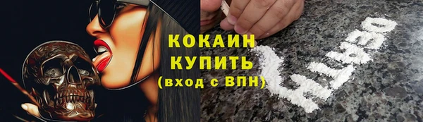 стафф Богородицк